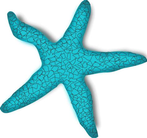 Starfish Clip art - Teal Fish Cliparts png download - 600*563 - Free Transparent Starfish png ...