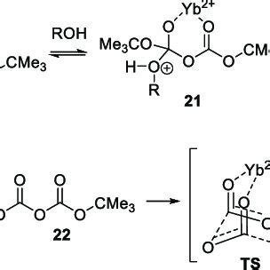 Reaction mechanism for the formation of tert-butyl ether. | Download Scientific Diagram