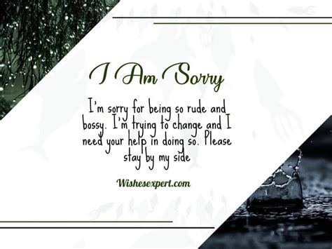 60+ I’m Sorry Quotes And Messages For Perfect Apology