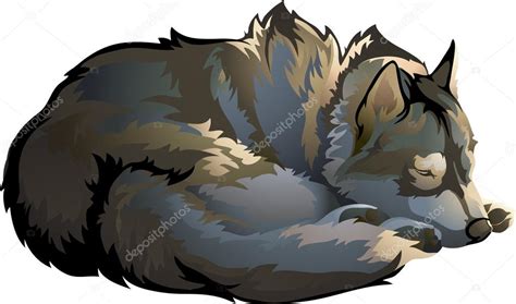 Sleeping wolf Stock Vector Image by ©skvortsova #43699425