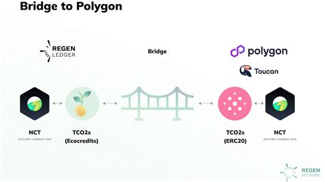 "Bridge to Polygon"