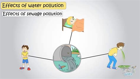 Water Pollution - Its Effects and Preventions | Science | Grade- 4,5 ...