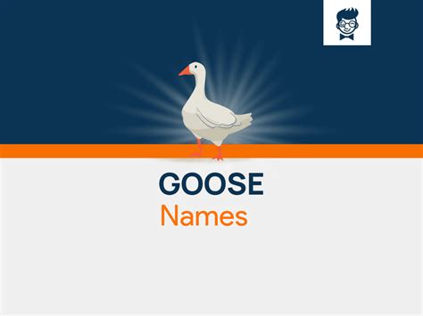 720+ Goose Names Every Bird Lover Should Know! - BrandBoy