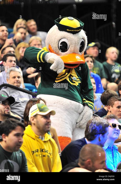 Oregon Ducks Mascot High Resolution Stock Photography and Images - Alamy