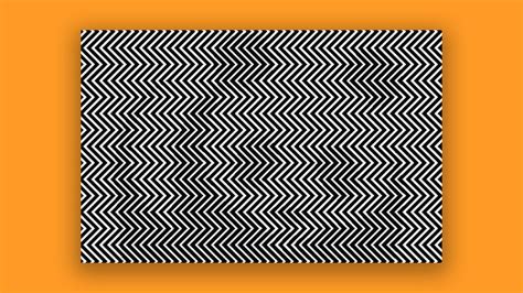 The mind-blowing optical illusion with a serious message | Creative Bloq