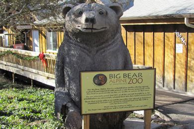 Big Bear Alpine Zoo (Big Bear Lake, CA) 2020 Review & Ratings | Family ...