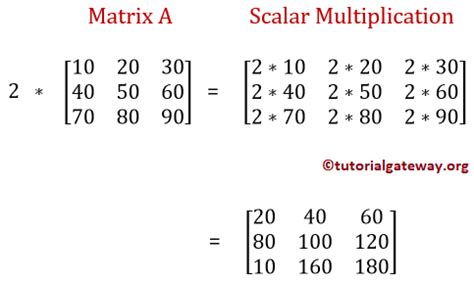 C Program to Perform Scalar Matrix Multiplication