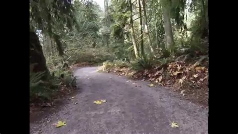 Snoqualmie Falls Trail (4x Speed) - YouTube