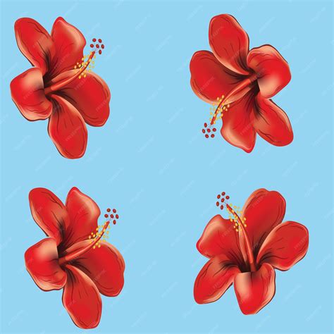 Premium Vector | Set of red hibiscus flower isolated