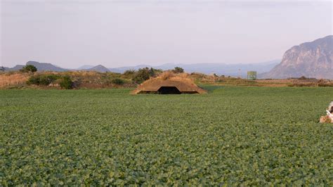 Hiking in Jeju: The Ultimate Guide – Travel World Heritage