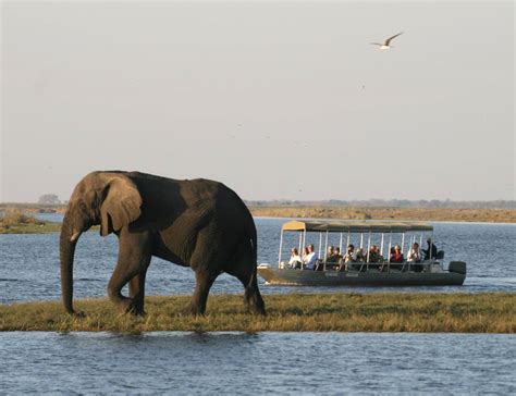 Chobe River Cruise - Drive Botswana