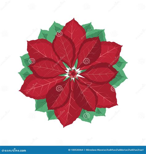 Christmas Poinsettia Flower Stock Vector - Illustration of decor ...