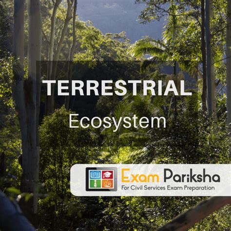 Types Of Terrestrial Ecosystems