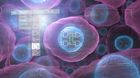 New technology enables predictive design of engineered human cells