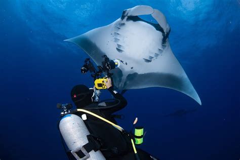 Top Underwater Photography Tips for Socorro - Nautilus Adventures