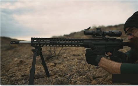 Palmetto State Armory (PSA) AR-10 Gen 3 (.308) Review | [January Updated]