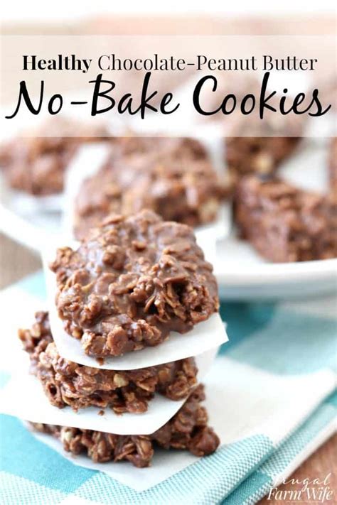 Healthy No-Bake Chocolate-Peanut Butter Cookies | Frugal Farm Wife