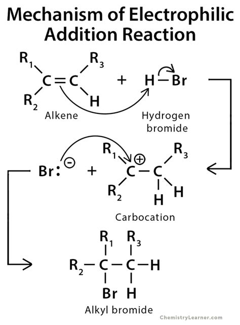 What Is Addition Reaction Class 11 - Rosie Dunn's Addition Worksheets