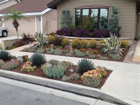 Drought Tolerant Landscaping Orange County, CA | Drought Resistant Pl… | Xeriscape front yard ...