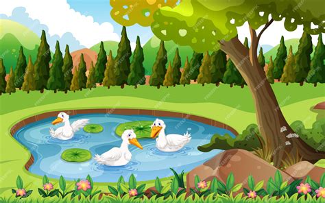 Premium Vector | Three ducks swimming in the pond