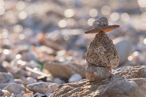 Balance in nature Photograph by Michael Goyberg | Fine Art America