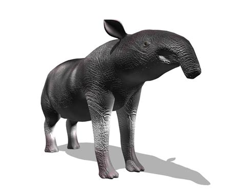 3d prehistoric tapir megatapirus