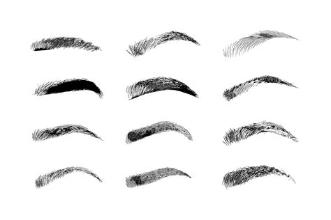 Eyebrow shapes. Various types of eyebrows. By Artha Graphic Design ...