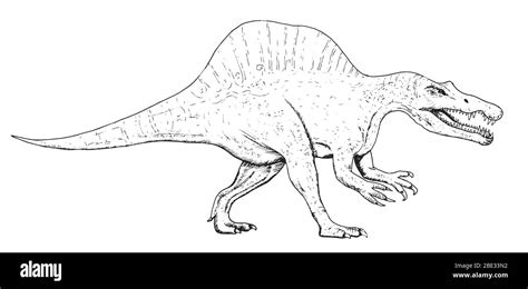 neutral ladrar pasatiempo spinosaurus para colorear Disfraces ...