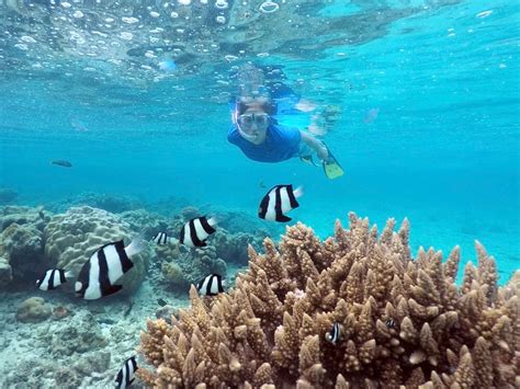 The Best Snorkeling Spots In The Cook Islands – DesertDivers