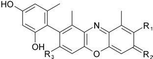 Orcein at Best Price in Palghar - ID: 5851325 | GSP Chemical Industries