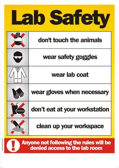 Lab Safety | Lab Safety Poster | Scientific Method | Pinterest | Lab safety, Safety posters and ...