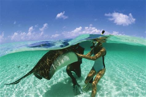 Turks and Caicos | Scuba Diving