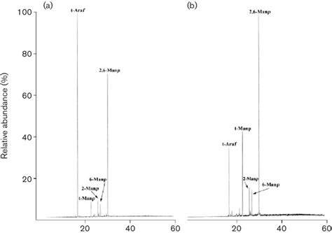 Glycosyl linkage analysis of per-Omethylated lipoglycan-2 from C ...