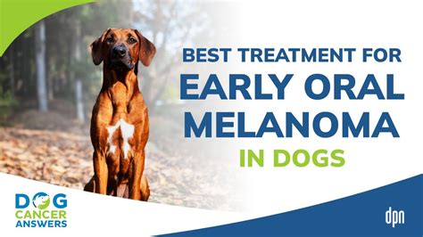 How Is Melanoma In Dogs Treated