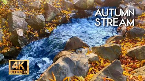 4K HDR Autumn stream. Water sounds – babbling brook, White noise for Sle… : r/downtempodojo