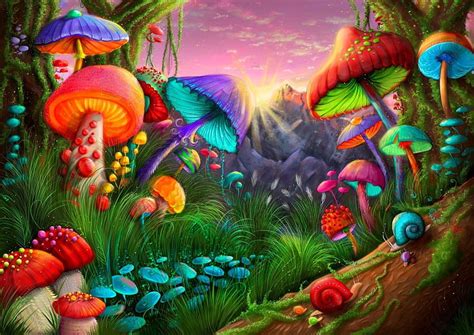 Fantasy Mushroom Land, coloré, fantastique, champignon, magique Fond d'écran HD | Pxfuel