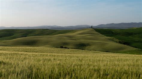 Hills Slope Mountains Grass Field Blue Sky Nature Background 4K HD ...