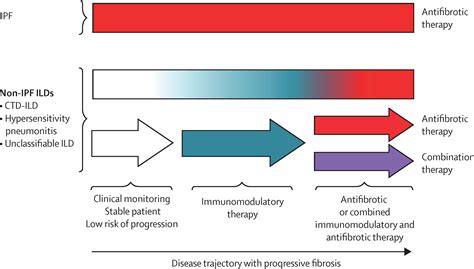 Treatment of fibrotic interstitial lung disease: current approaches and future directions - The ...