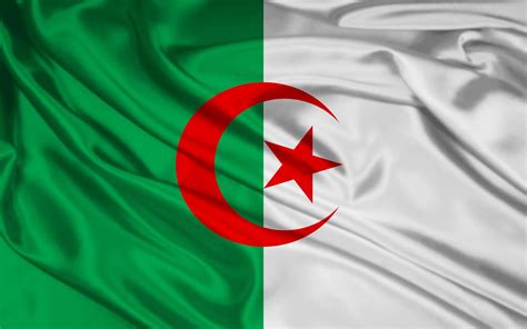 Algeria Flag wallpapers | Bayrak, Müze, Apple tv