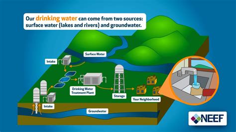 Lesson 2: Protect Water Quality At Home | The National Environmental Education Foundation (NEEF)