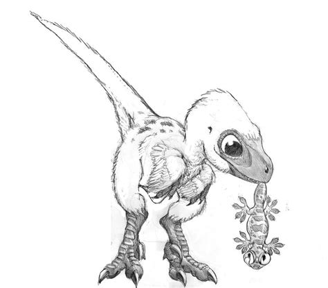 Sketch for baby velociraptor | Dinosaur drawing, Dinosaur art, Paleo art