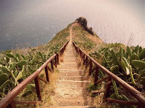 9 reasons to visit Madeira during the Fall / Winter