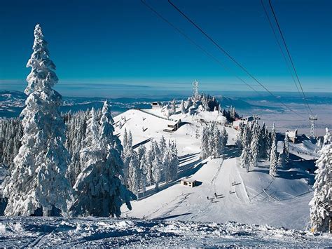 Gondola & Cable Cars | Skiing & Activities | Poiana Brasov