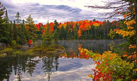 algonquin park fall colours 2015 - Google Search | Algonquin park, Park ...