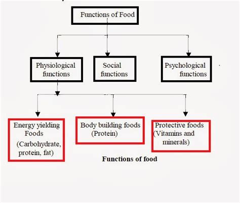 Biolearnspot: Functions of food