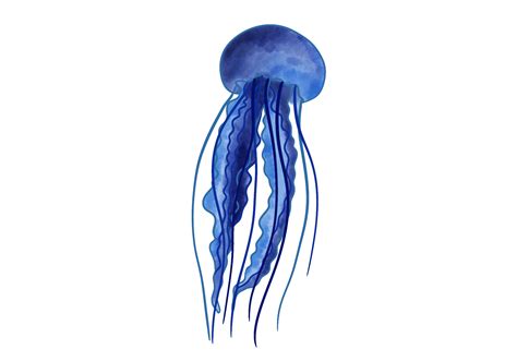 How to Draw a Jellyfish | Design School