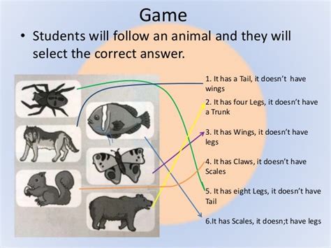 Animals and their physical characteristics