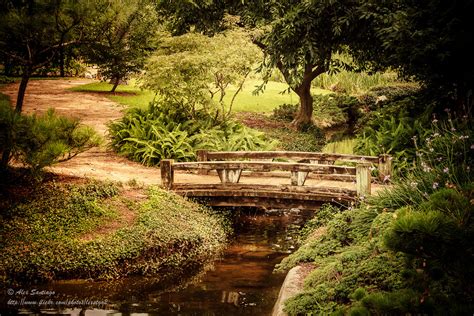 Memories of Japan | Japanese Garden at Hermann Park | Alex Santiago | Flickr