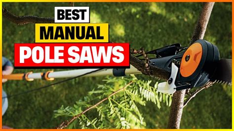 Best Manual Pole Saws Reviews 2024 - Top 7 Manual Pole Saws Review - YouTube