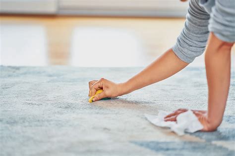 Your Ultimate Guide to Carpet Stain Removal | The News God